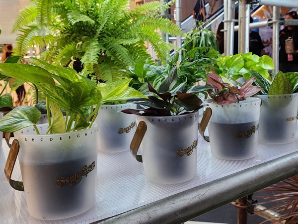 ���૷���� �ǹ����������ѡ���š SangSom MOONLAB �ͺ�������