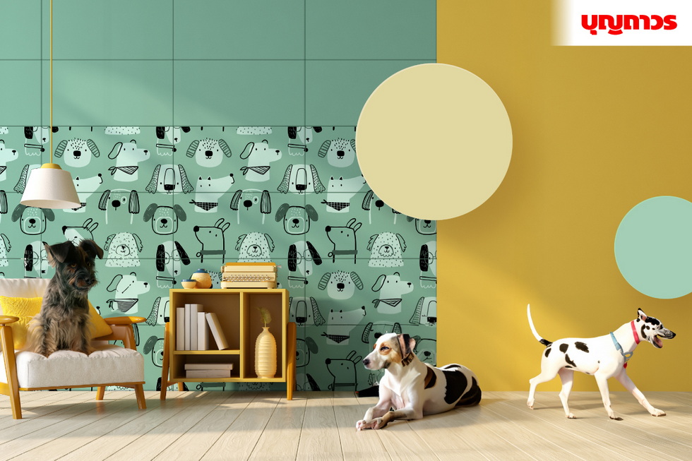 บุญถาวร Pet Friendly Tile 2025 บุญถาวร Pet Friendly Tile 2025