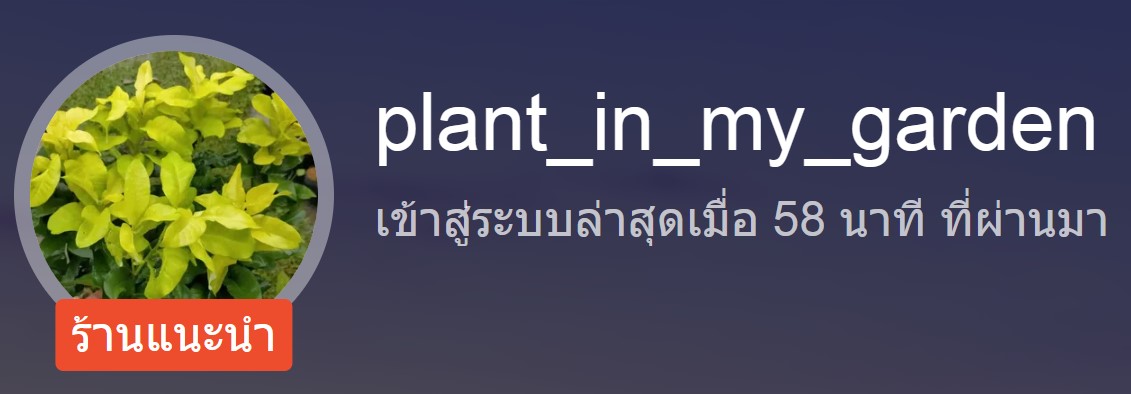 ร้าน plant_in_my_garden ร้าน plant_in_my_garden