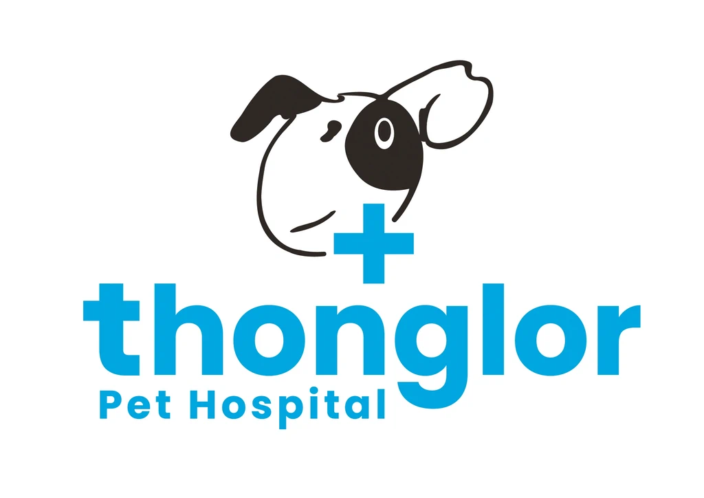 โรงพยาบาลสัตว์ทองหล่อ โรงพยาบาลสัตว์ทองหล่อ